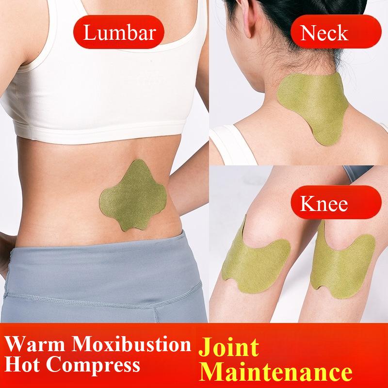 100pcs Wormwood Lumbar Patches - đánh giá và giá Yoga Health & Fitness Center