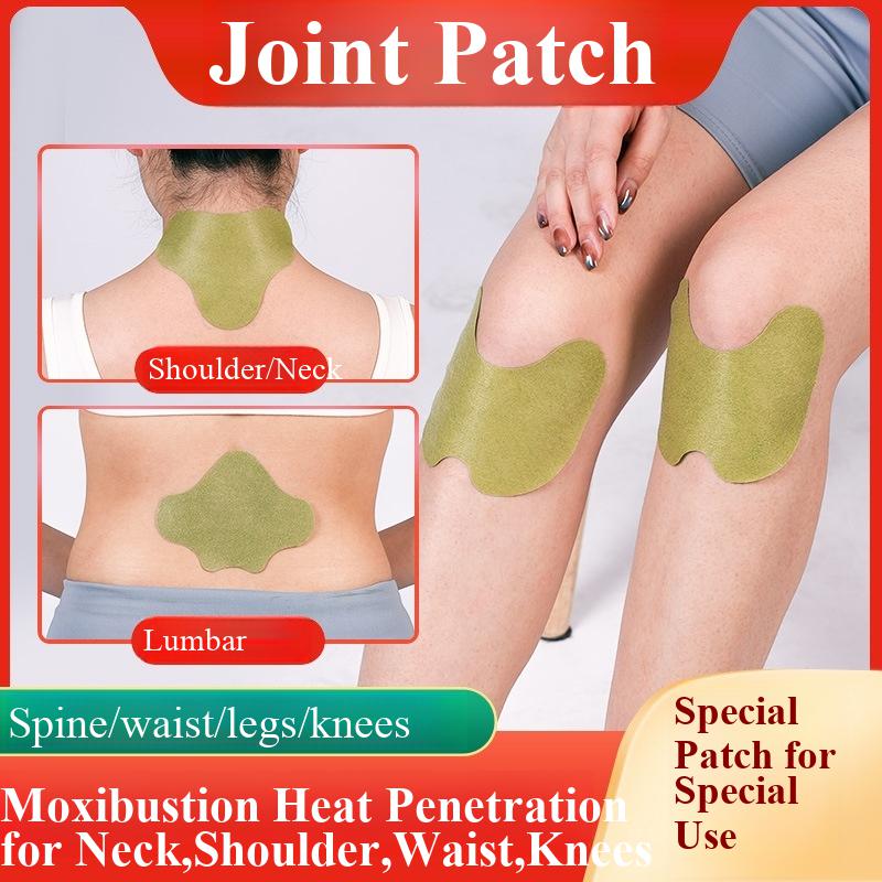 100pcs Wormwood Lumbar Patches - đánh giá và giá Yoga Health & Fitness Center