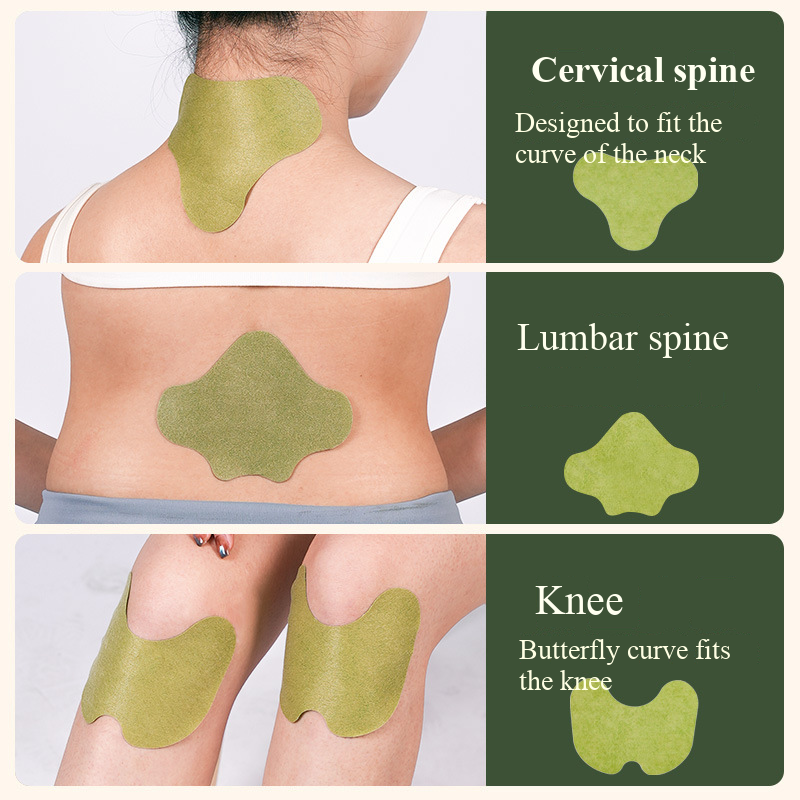 100pcs Wormwood Lumbar Patches - đánh giá và giá Yoga Health & Fitness Center